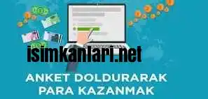 evde anket doldurarak para kazanma