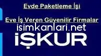 güvenilir evde paketleme işi