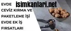 Ceviz Kırma ve Paketleme İşi