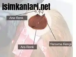 Saç Boyası Paketleme