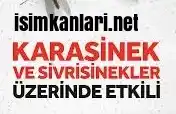sivrisinek tableti paketleme işi