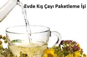 Kış Çayı Paketleme