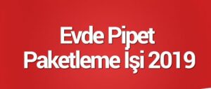 Pipet Paketleme işi 2021