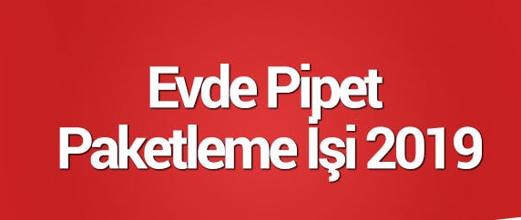 Pipet Paketleme işi 2021
