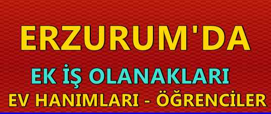 erzurum evde paketleme işi